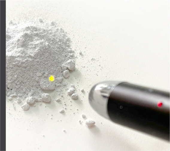 website_image_security pigment_3_567x504px