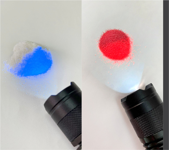 website_image_security pigment_4_567x504px