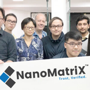 The Way the NanoMatriX Team Works