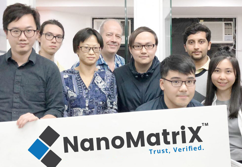 The Way the NanoMatriX Team Works